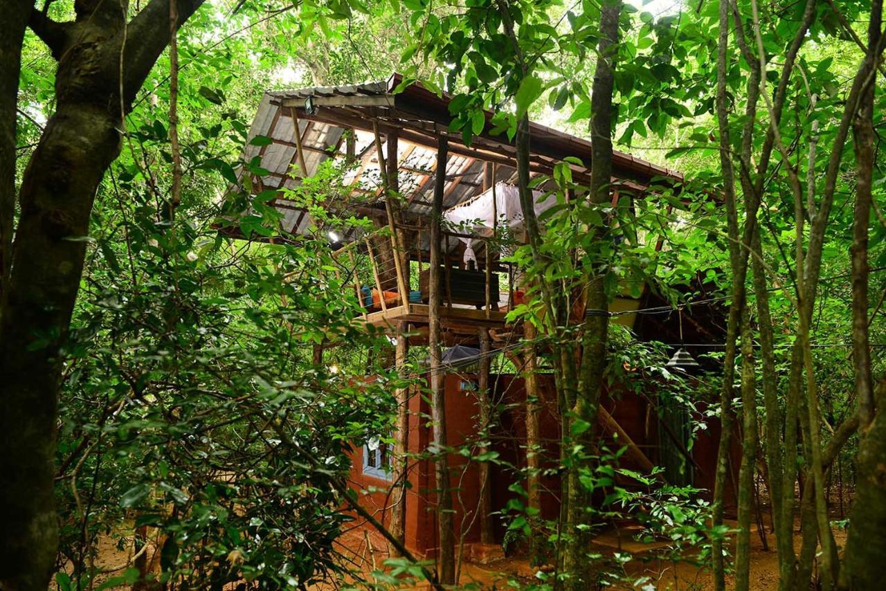 Back Of Beyond - Pidurangala Villa Sigiriya Luaran gambar