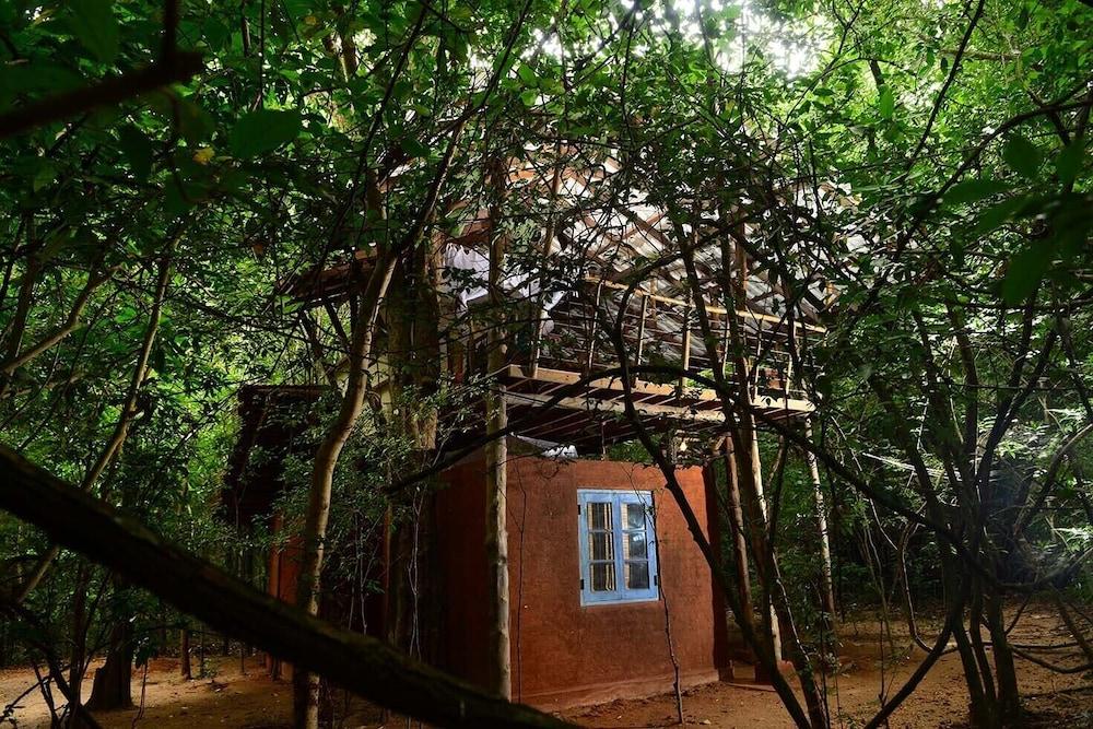 Back Of Beyond - Pidurangala Villa Sigiriya Luaran gambar
